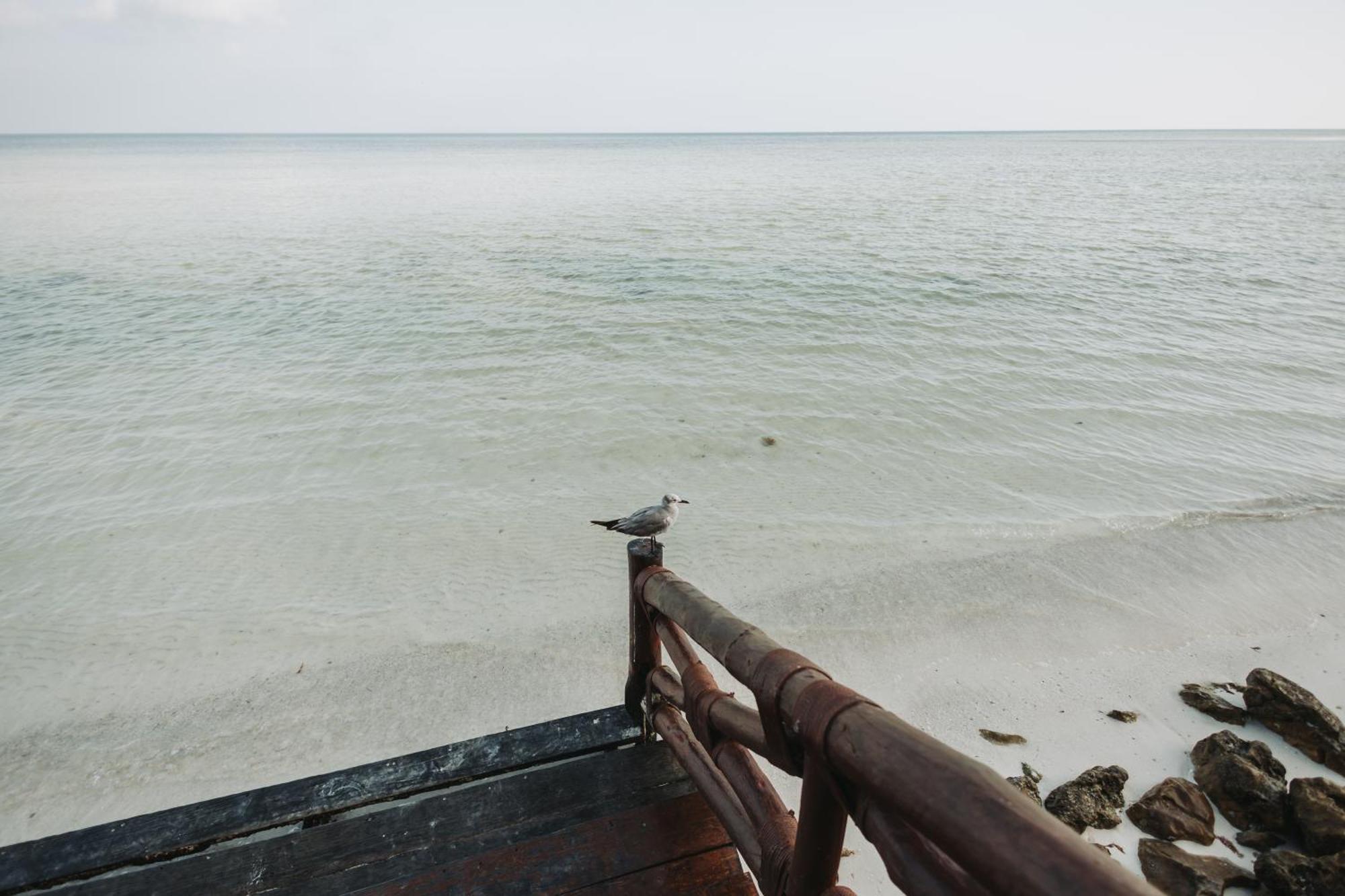 Las Nubes De Holbox Extérieur photo