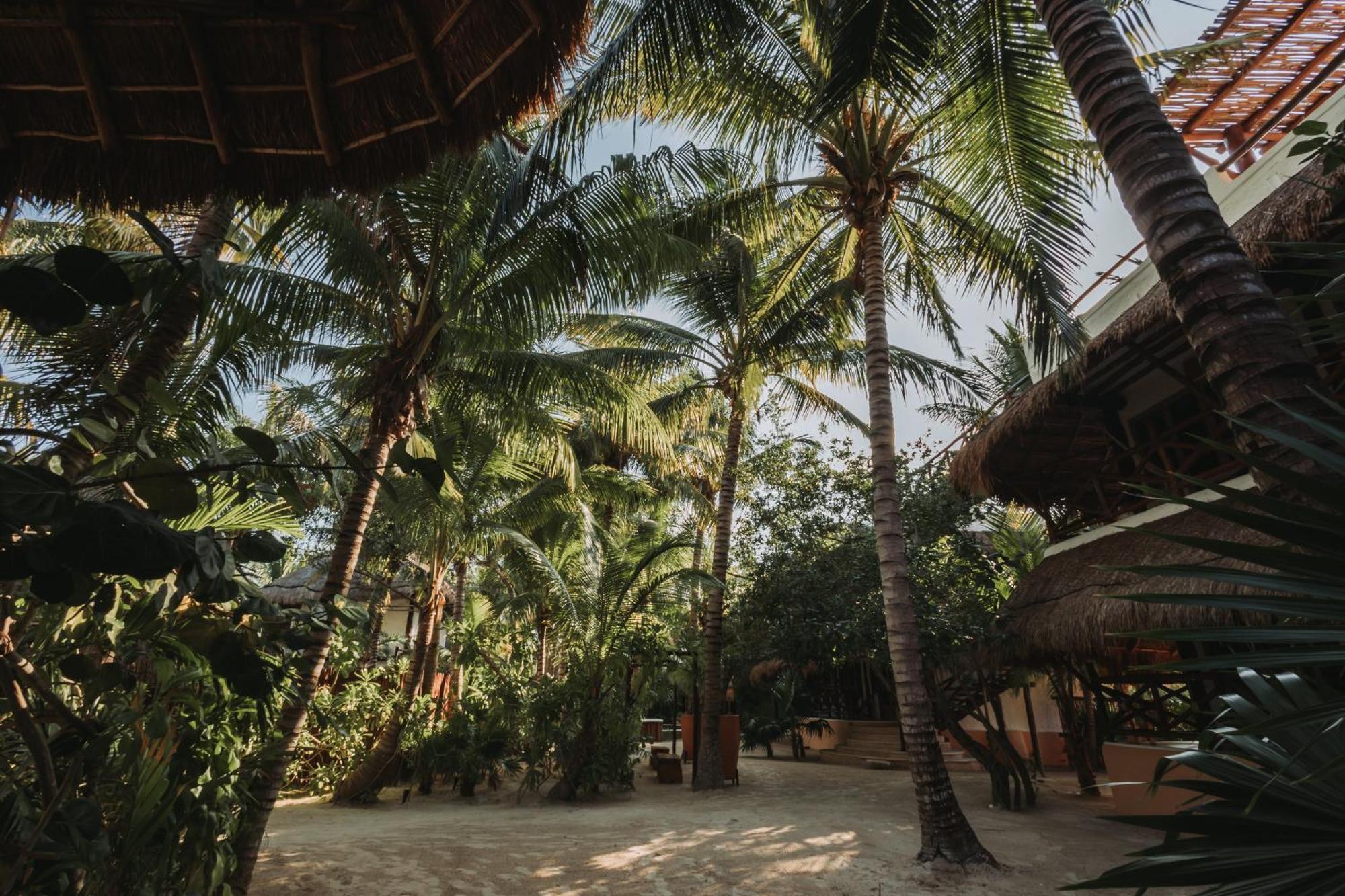 Las Nubes De Holbox Extérieur photo